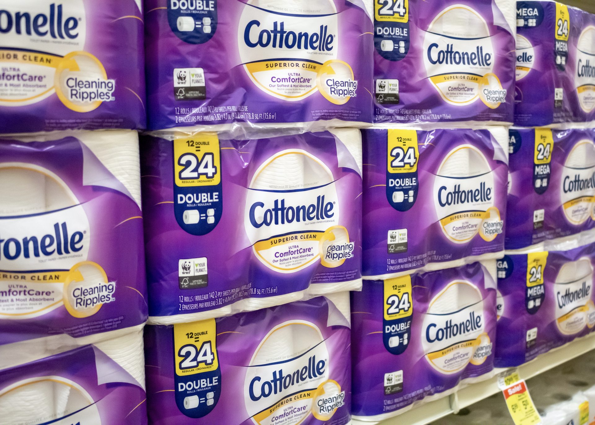 14 Best Toilet Paper Cottonelle for 2024