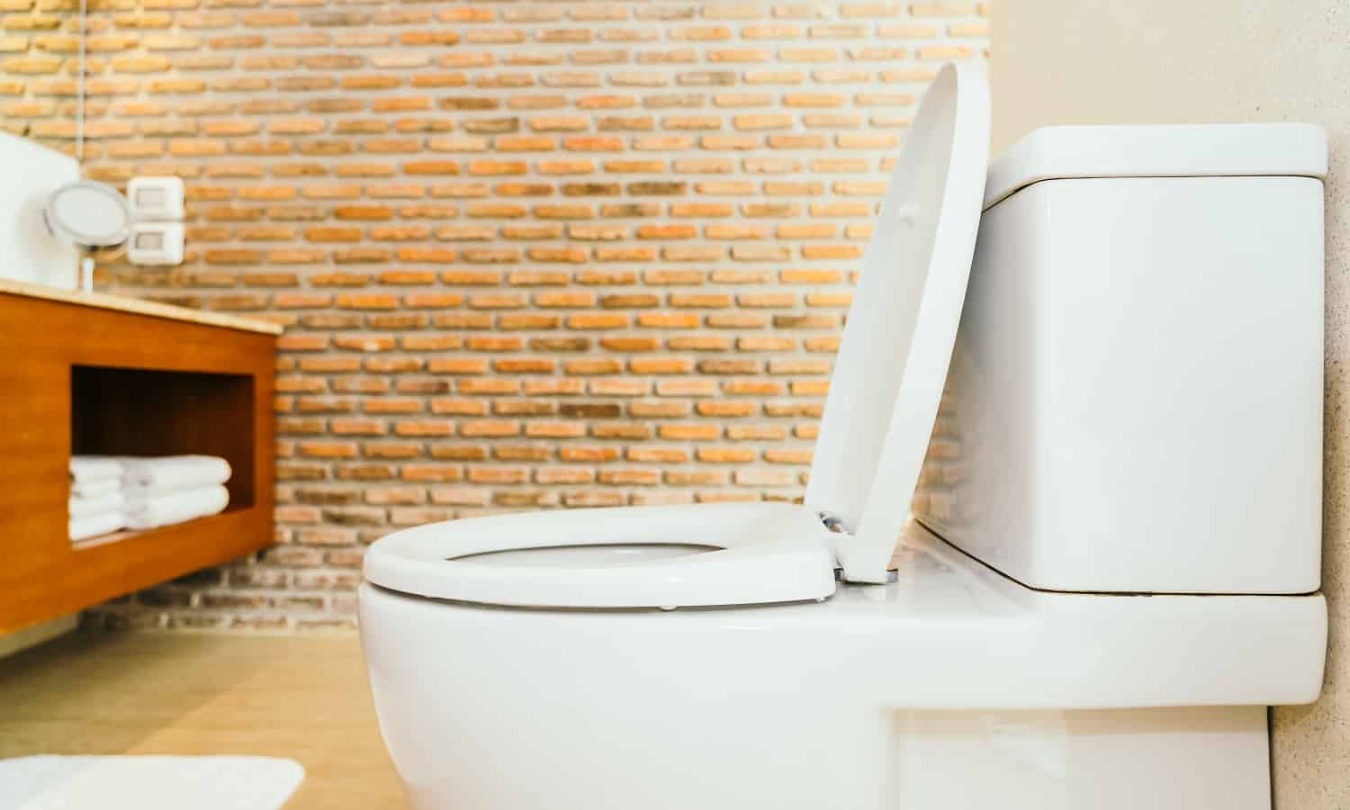 15 Best Soft Close Toilet Seat for 2024