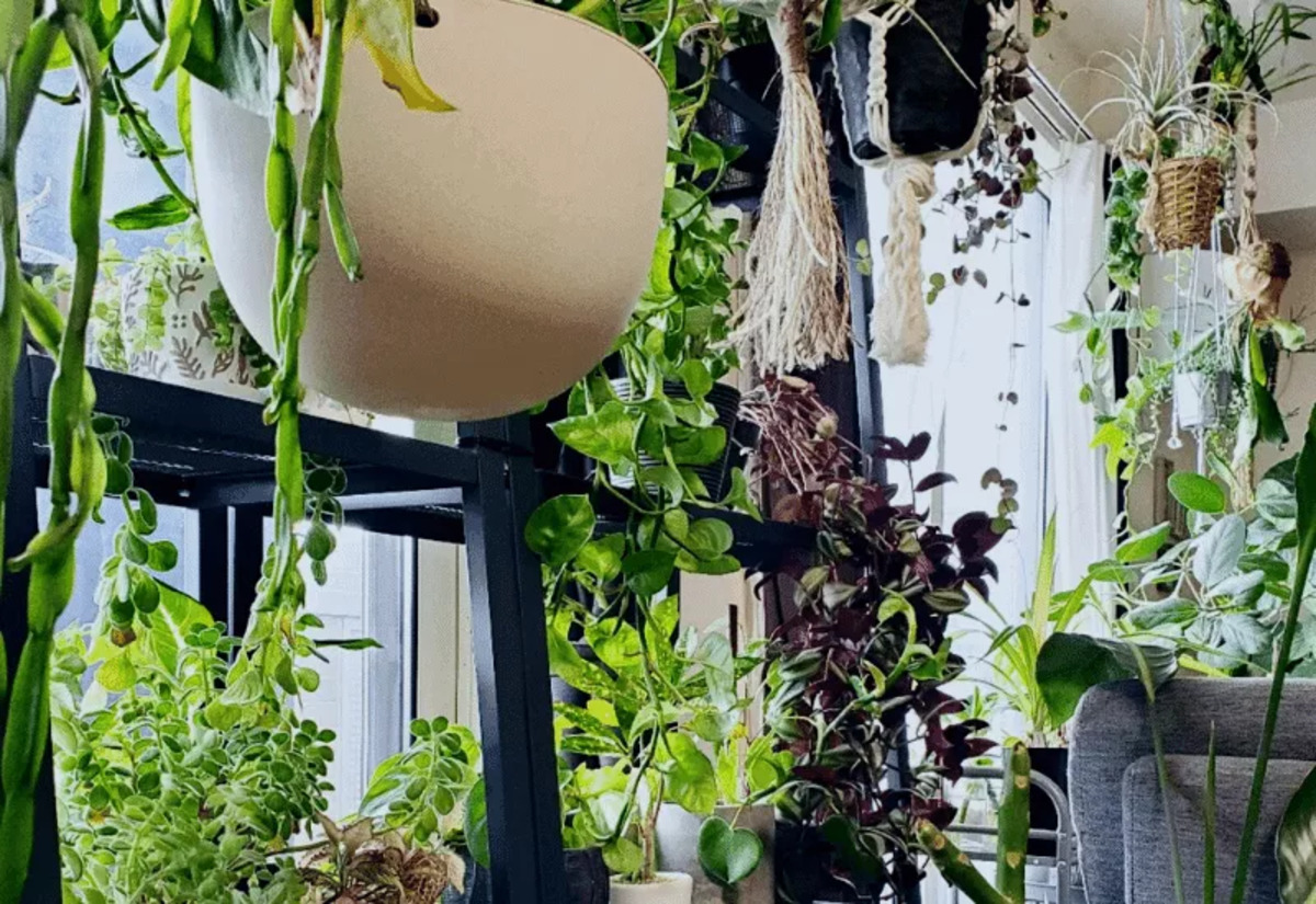 15 Unbelievable Mini Indoor Garden For 2024