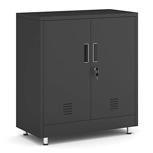 JINGUR Lockable Metal Cabinet with Adjustable Shelf