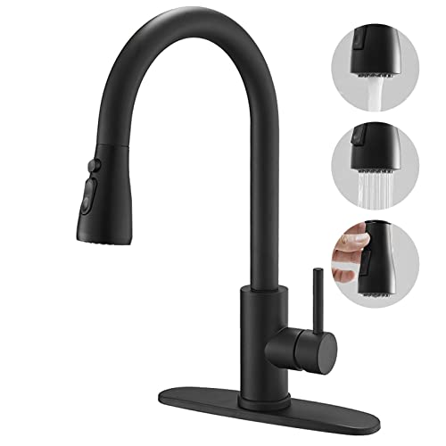 BESy Brass Kitchen Faucet with Pull Down Sprayer