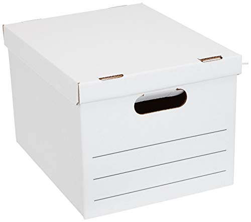 Amazon Basics File Storage Boxes