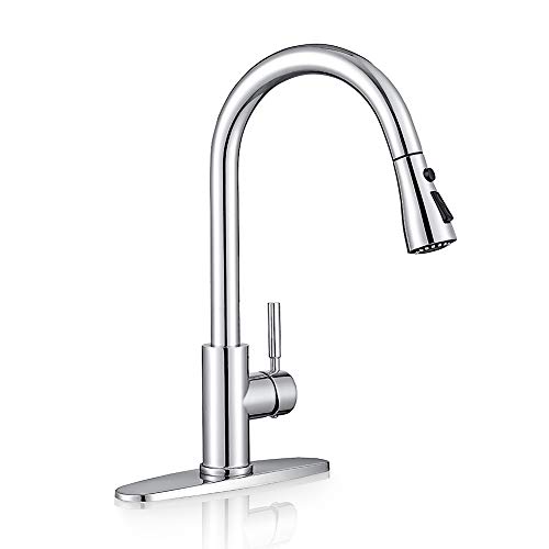 WEWE Sink Faucet with Sprayer