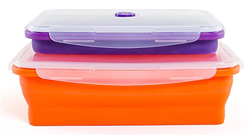 Thin Bins Set of 2 Extra Large Rectangle Silicone Food Storage Containers