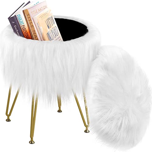RunLexi Vanity Stool Chair with Storage