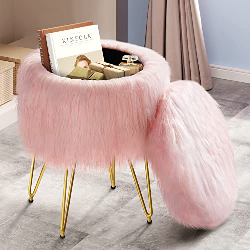 GREENSTELL Vanity Stool Chair with Storage