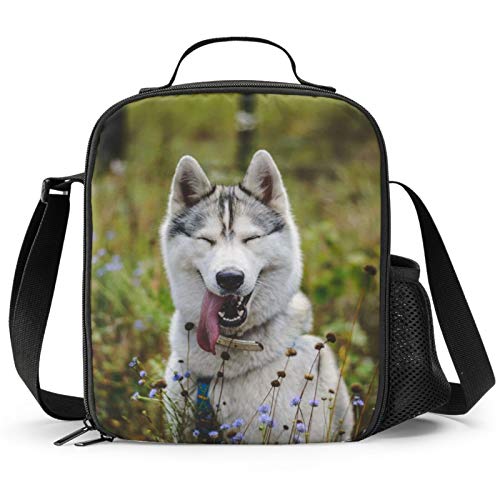 12 Amazing Husky Lunch Box for 2023 Storables