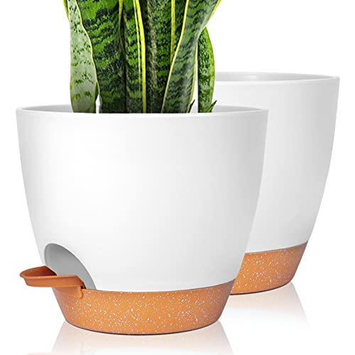 GARDIFE Plant Pots - Modern Decorative Flower Pots