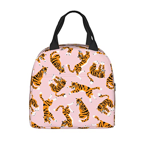 8 Best Tiger Lunch Box for 2023 Storables