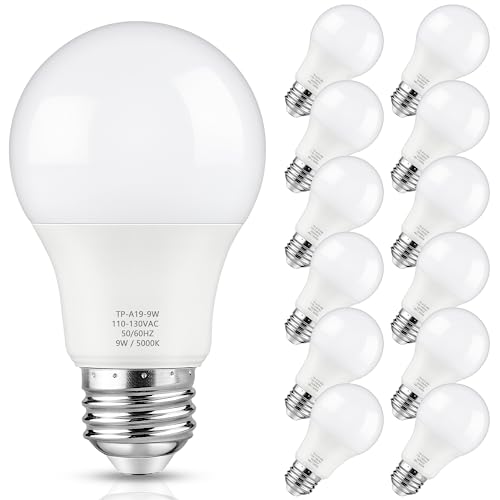 Maylaywood A19 LED Light Bulbs - Energy-Efficient and Bright