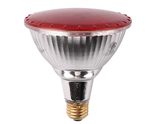 7 PANDAS Red LED Flood Light Bulbs