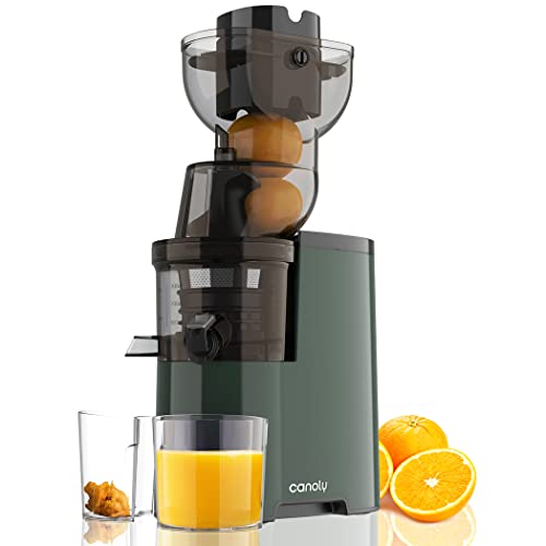 Powerful Slow Juicer with Large Feed Chute
