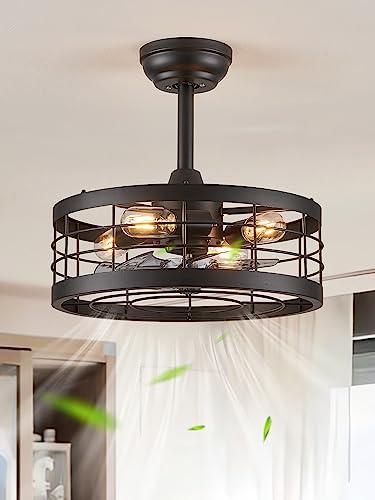 Black Caged Ceiling Fan With Light
