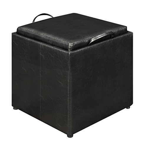 Park Avenue Ottoman with Reversible Tray - Compact Storage Solution