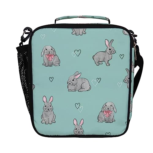 9 Amazing Bunny Lunch Box for 2023 | Storables