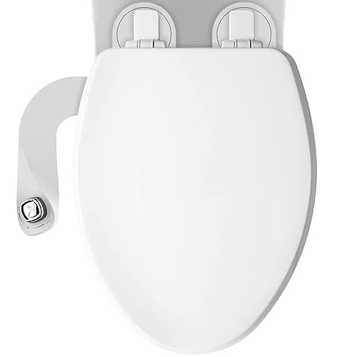 15 Best Toilet Seat Bidet for 2023 Storables