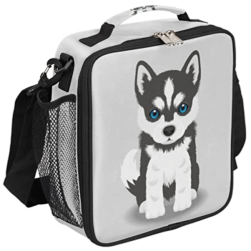 12-amazing-husky-lunch-box-for-2023-storables