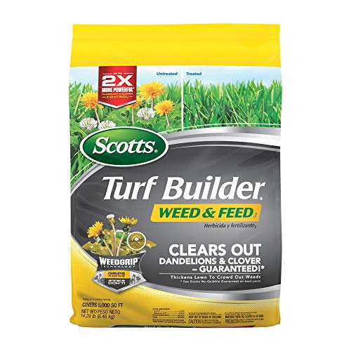 Scotts Turf Builder Weed & Feed3