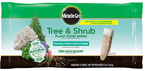 Miracle-Gro Tree & Shrub Plant Food Spikes