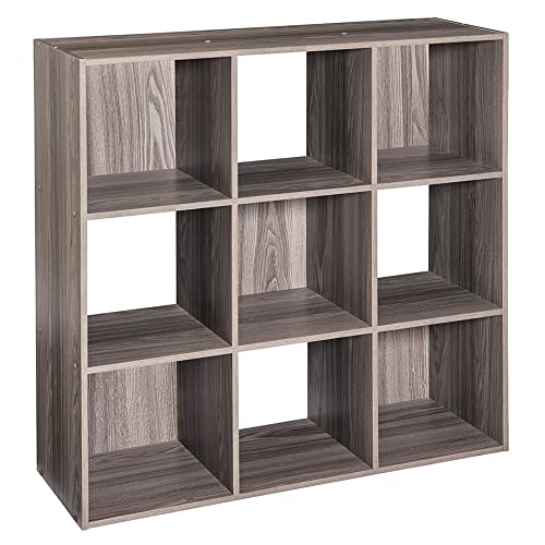 ClosetMaid 9-Cube Organzier
