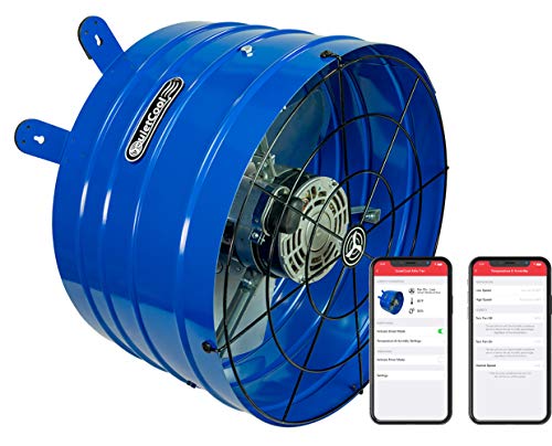 11 Amazing Attic Vent Fan for 2023 | Storables