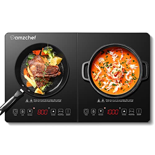 14 Incredible Double Induction Cooktop For 2023 Storables