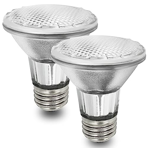 Par20 Flood Light Bulbs, 2 Pack - Warm Light