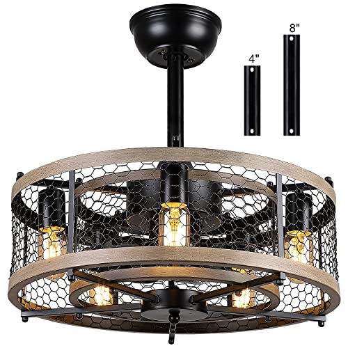 20'' Caged Ceiling Fan with Lights Remote Control