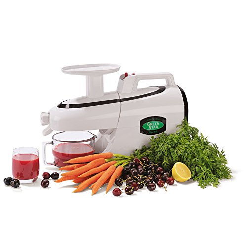 Tribest Green Star Elite GSE-5000-220V Jumbo Twin Gear Juice Extractor