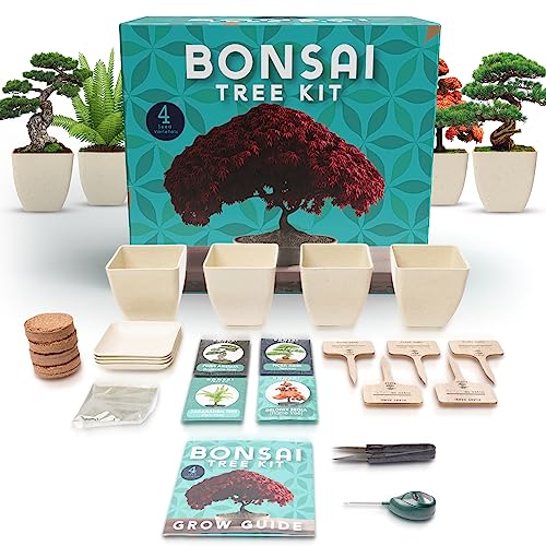 Bonsai Tree Kit - All-Inclusive Starter Plant Kit
