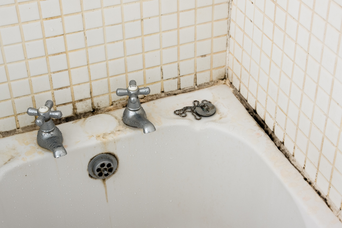 6 Bathroom Renovation Mistakes Making Your Cold Bathroom Moldy