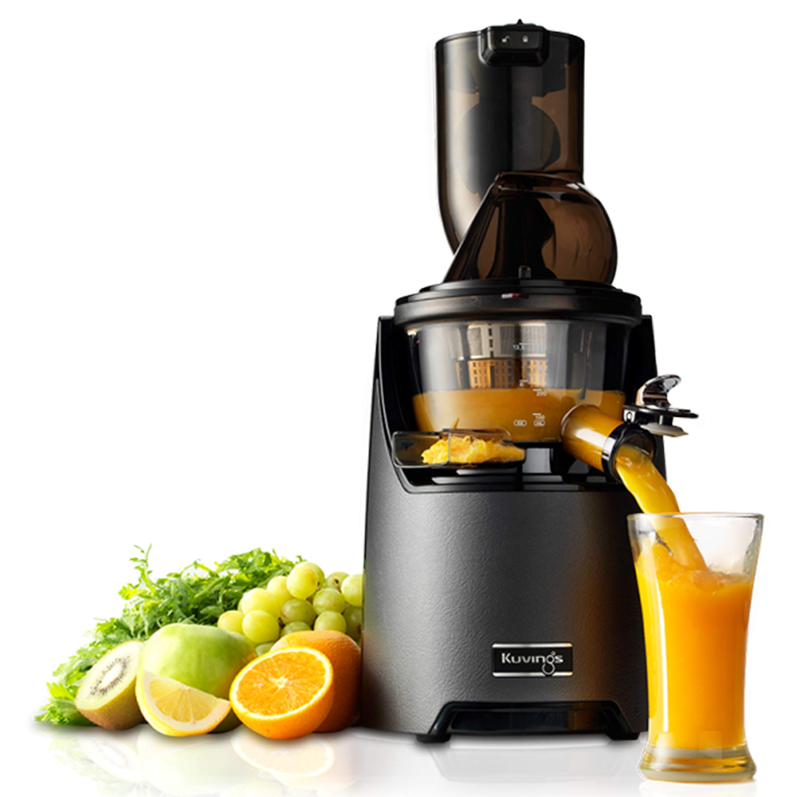 8 Amazing Professional Juicer for 2024