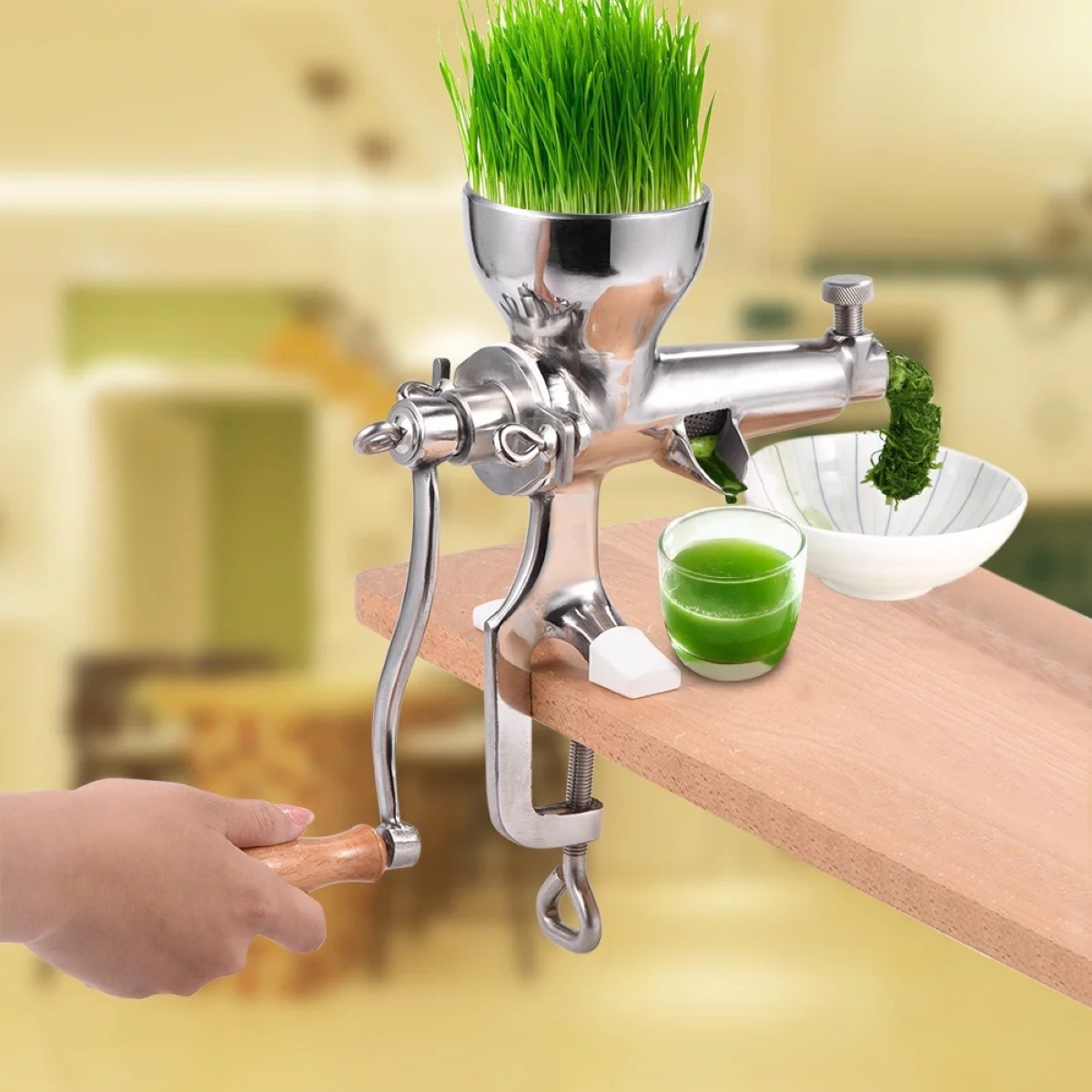 8 Amazing Wheat Grass Juicer for 2024