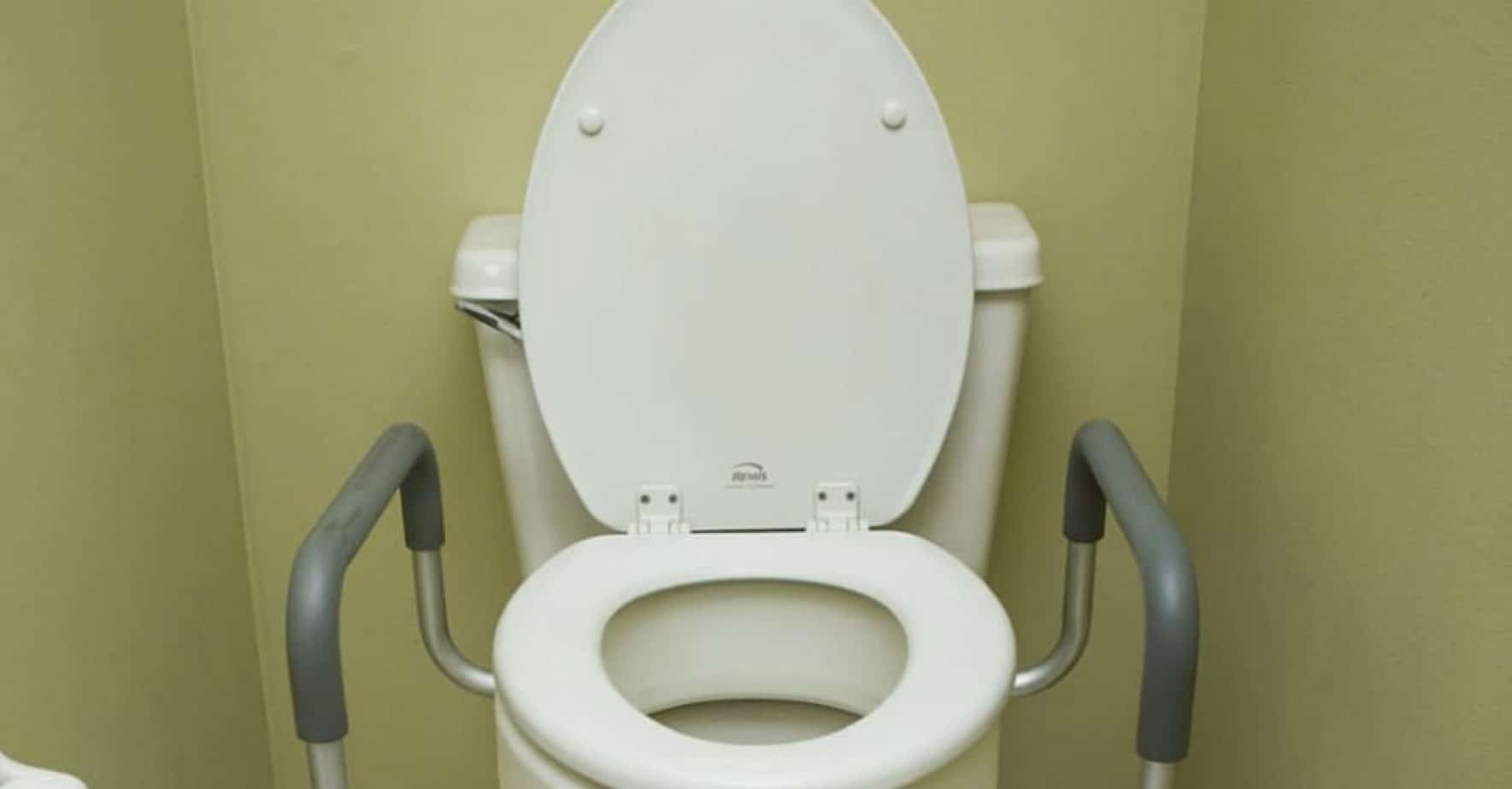 8 Best Handicap Toilet Seat for 2024