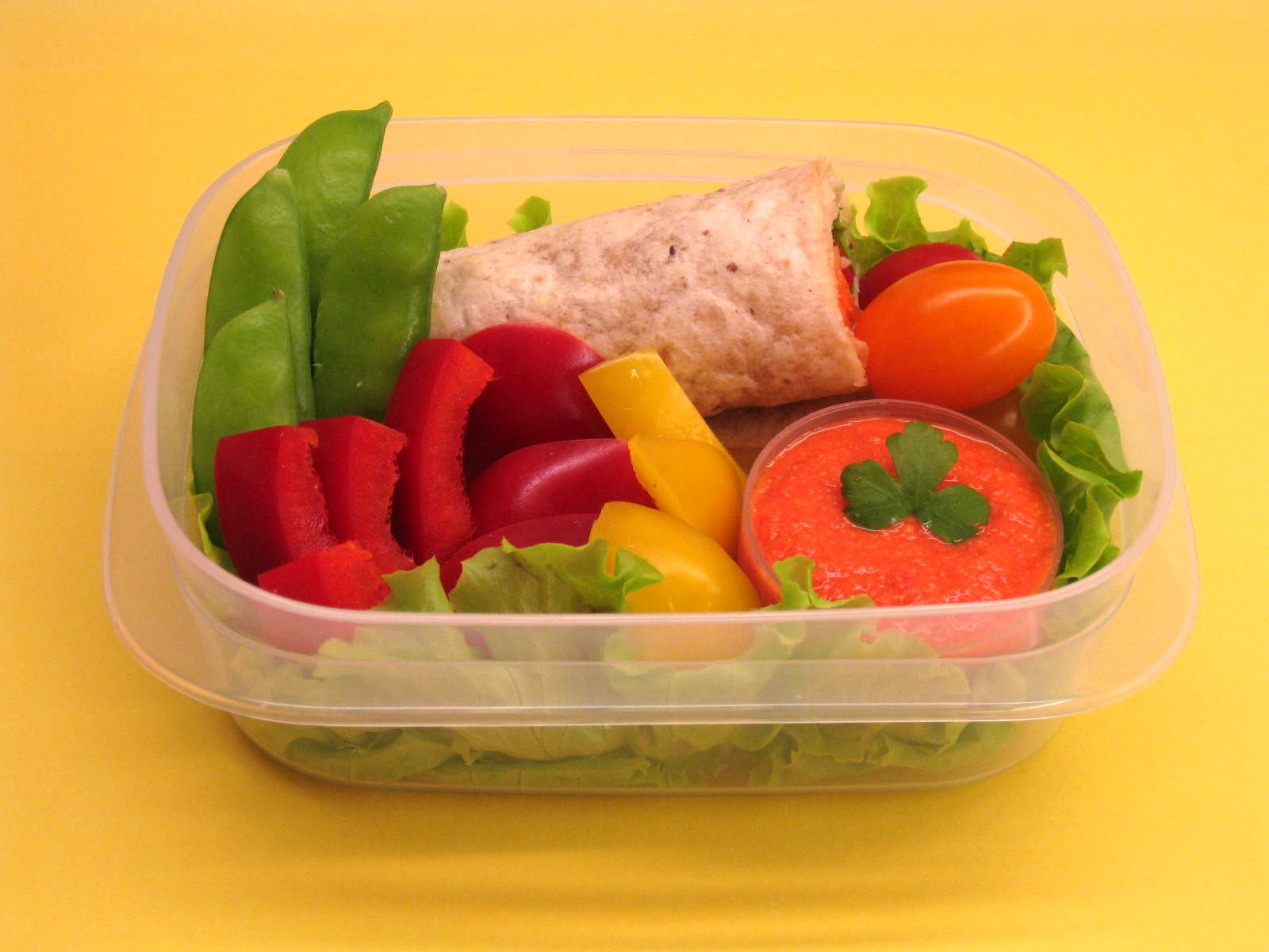 8 Best Small Lunch Box for 2023