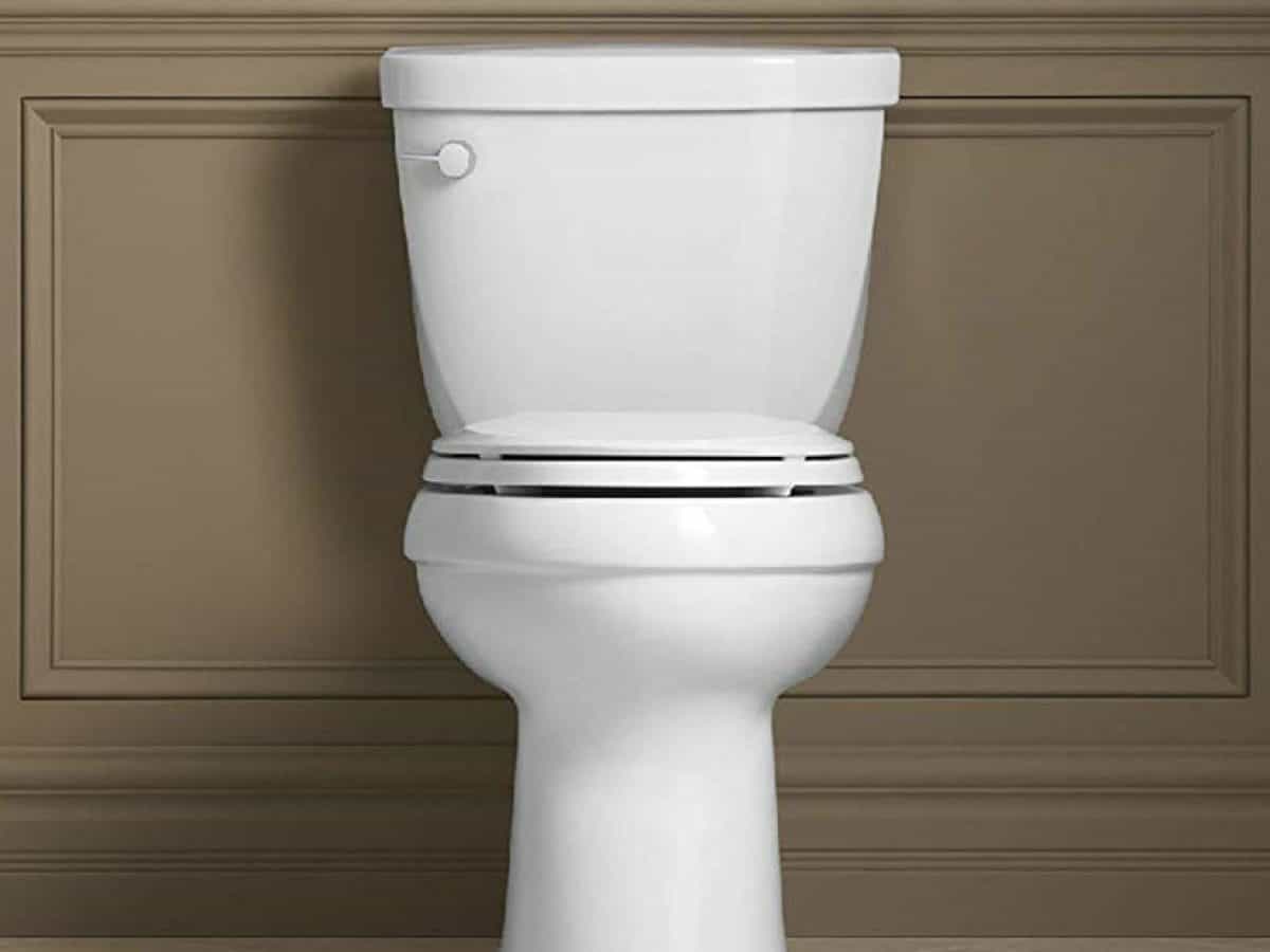 8 Best Tall Toilet for 2024