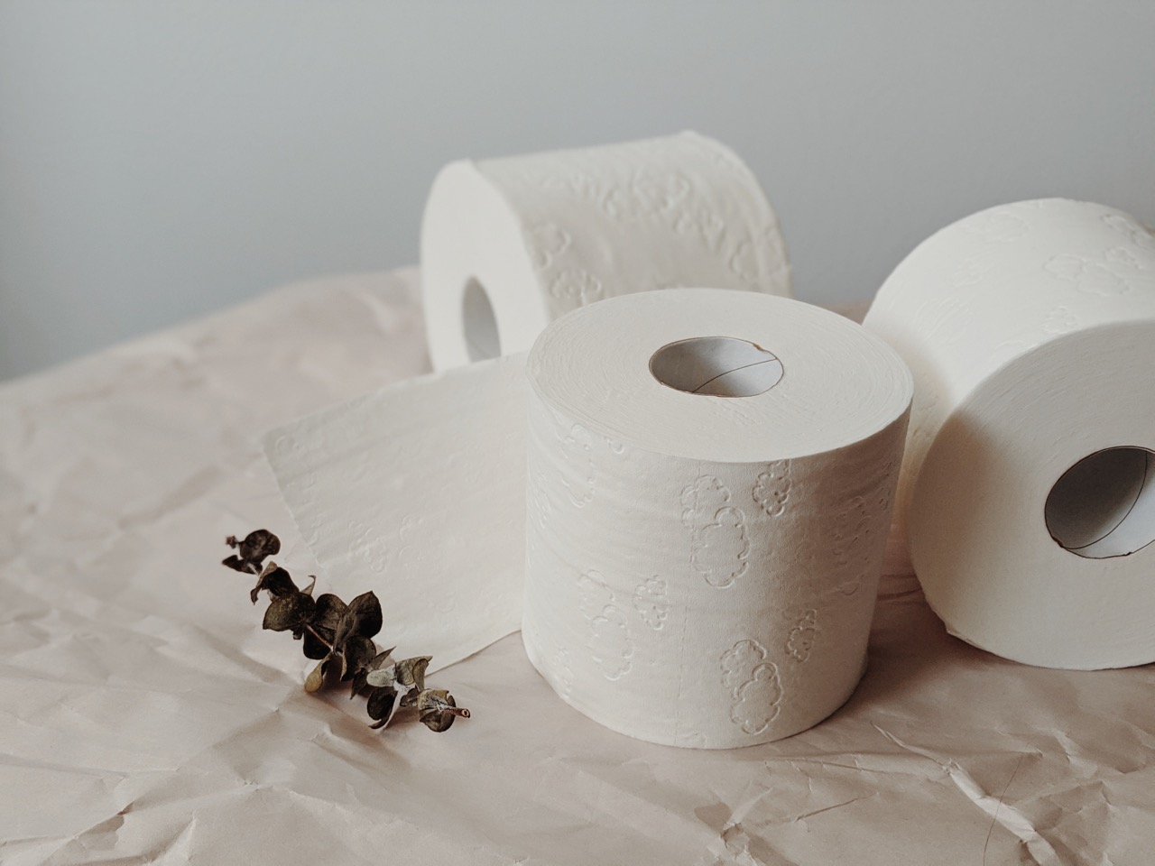 8 Best Toilet Tissue Rolls for 2023