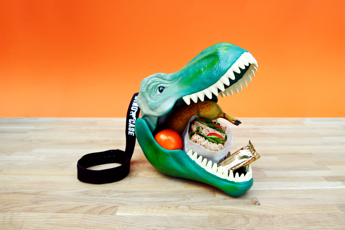 9 Amazing Dinosaur Lunch Box for 2023