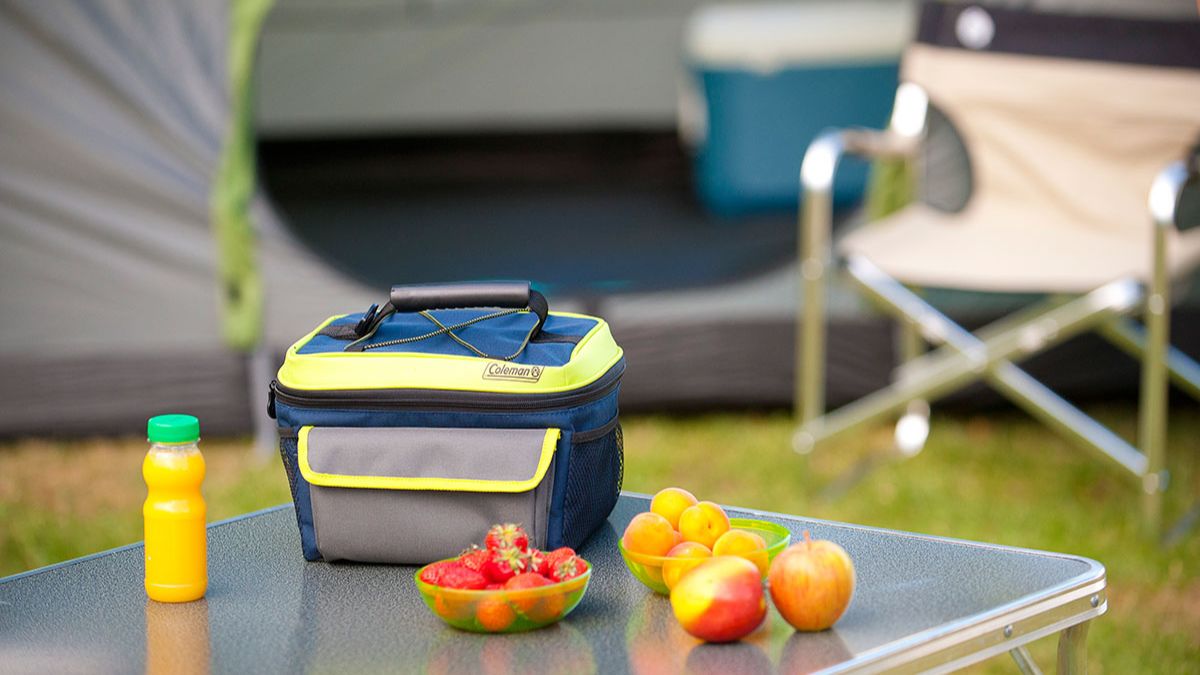 9 Best Coleman Lunch Box For Men for 2023