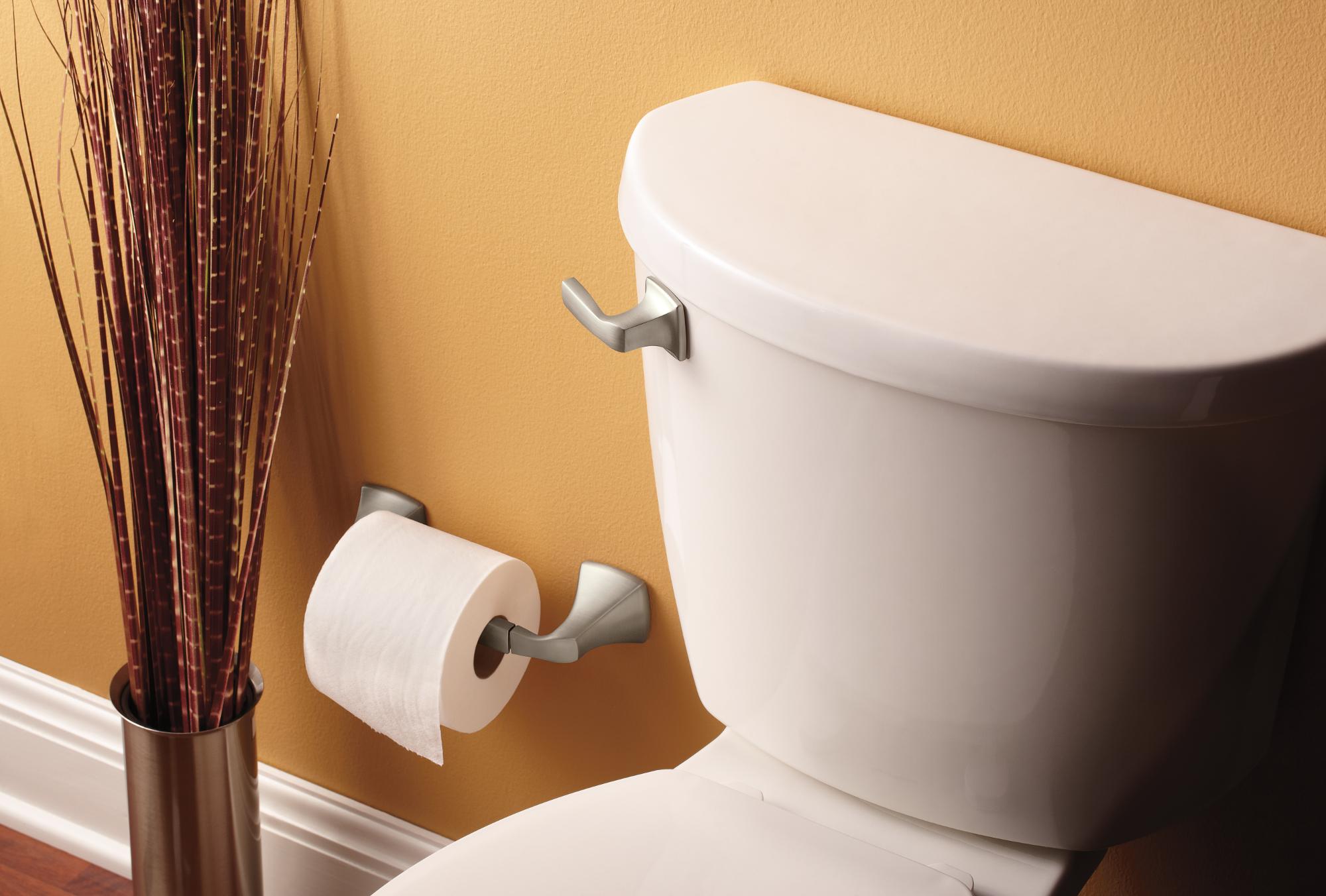 9 Best Moen Toilet Paper Holder for 2023