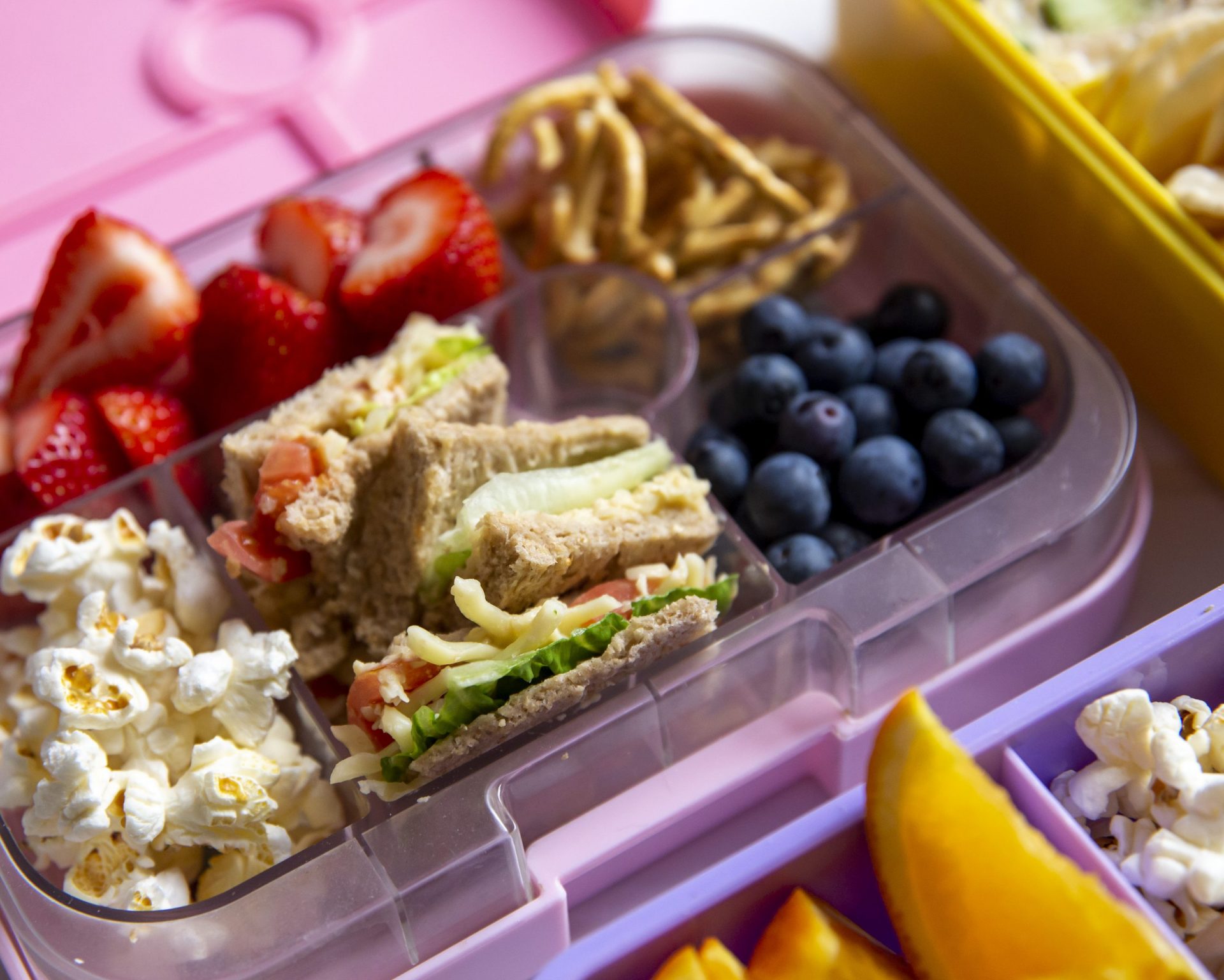 9 Best School Lunch Box for 2023