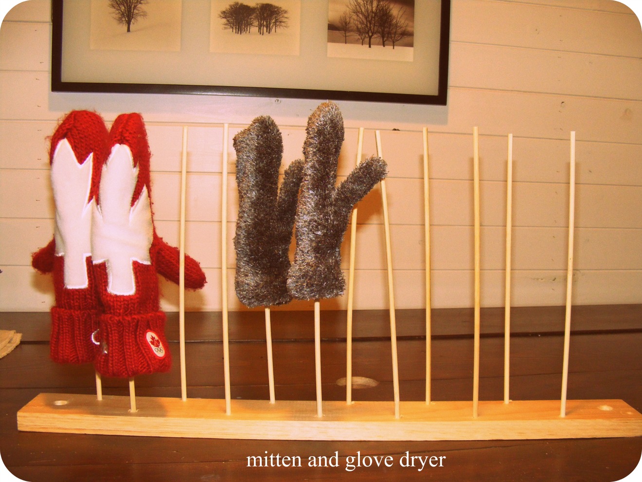 9 Incredible Mitten Dryer For 2024