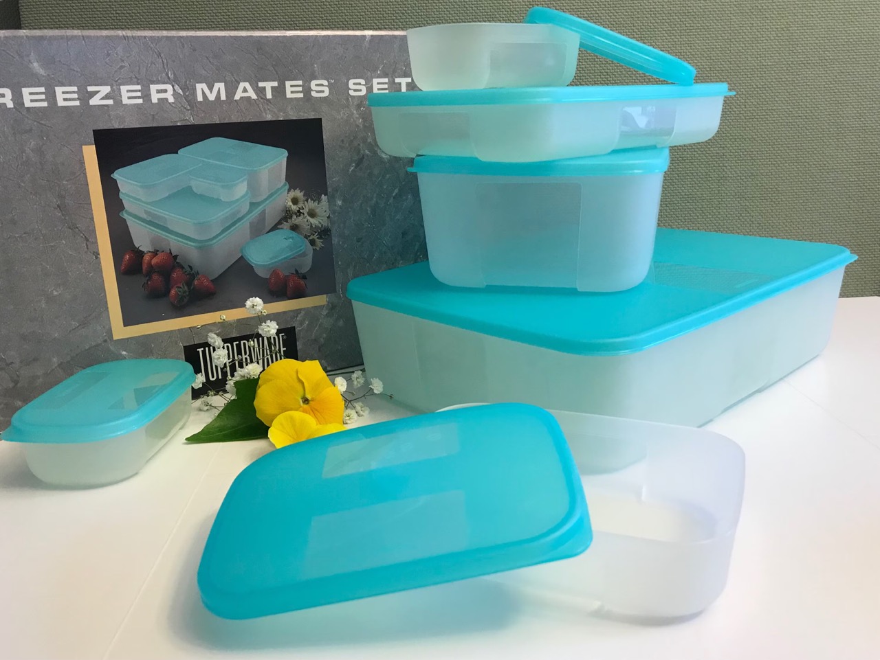 9 Unbelievable Tupperware Freezer Containers For 2023