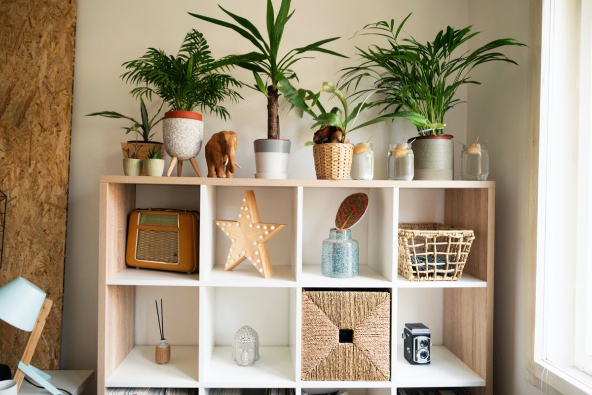 Decorating Shelves: 13 Ideas For Beautiful Arrangements
