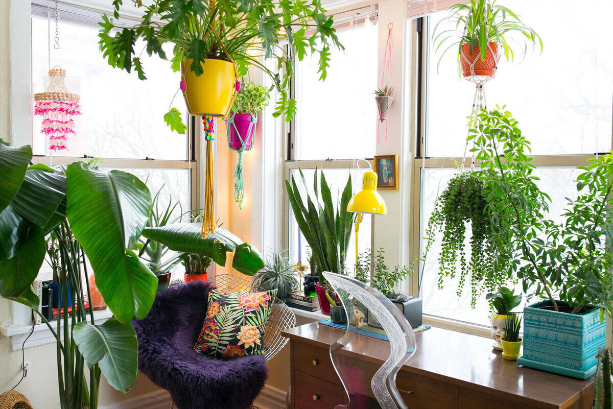 Decorating With Plants: 11 Ways To Display House Plants