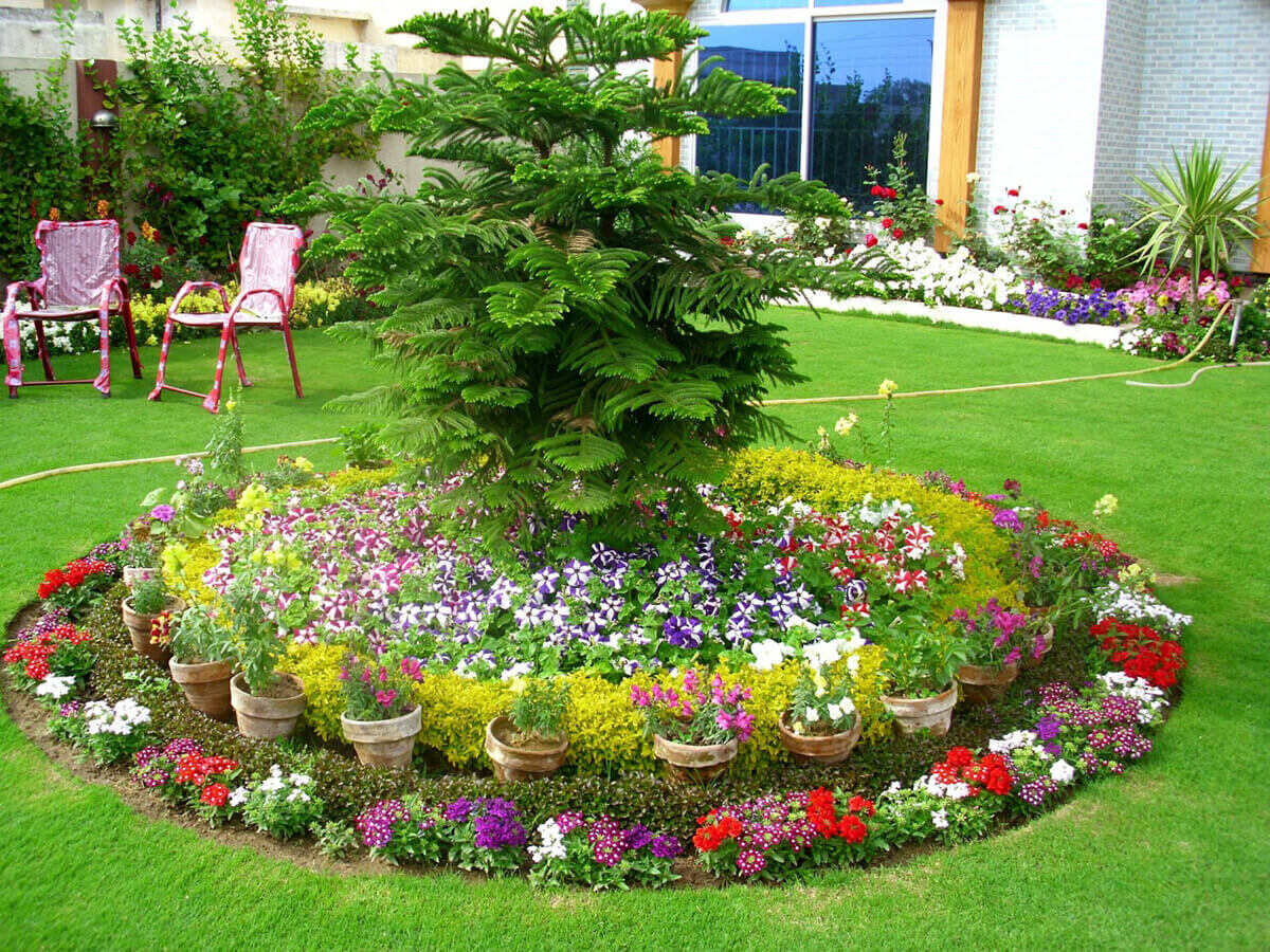 Flower Bed Ideas: Beautiful Ways To Create Floral Displays