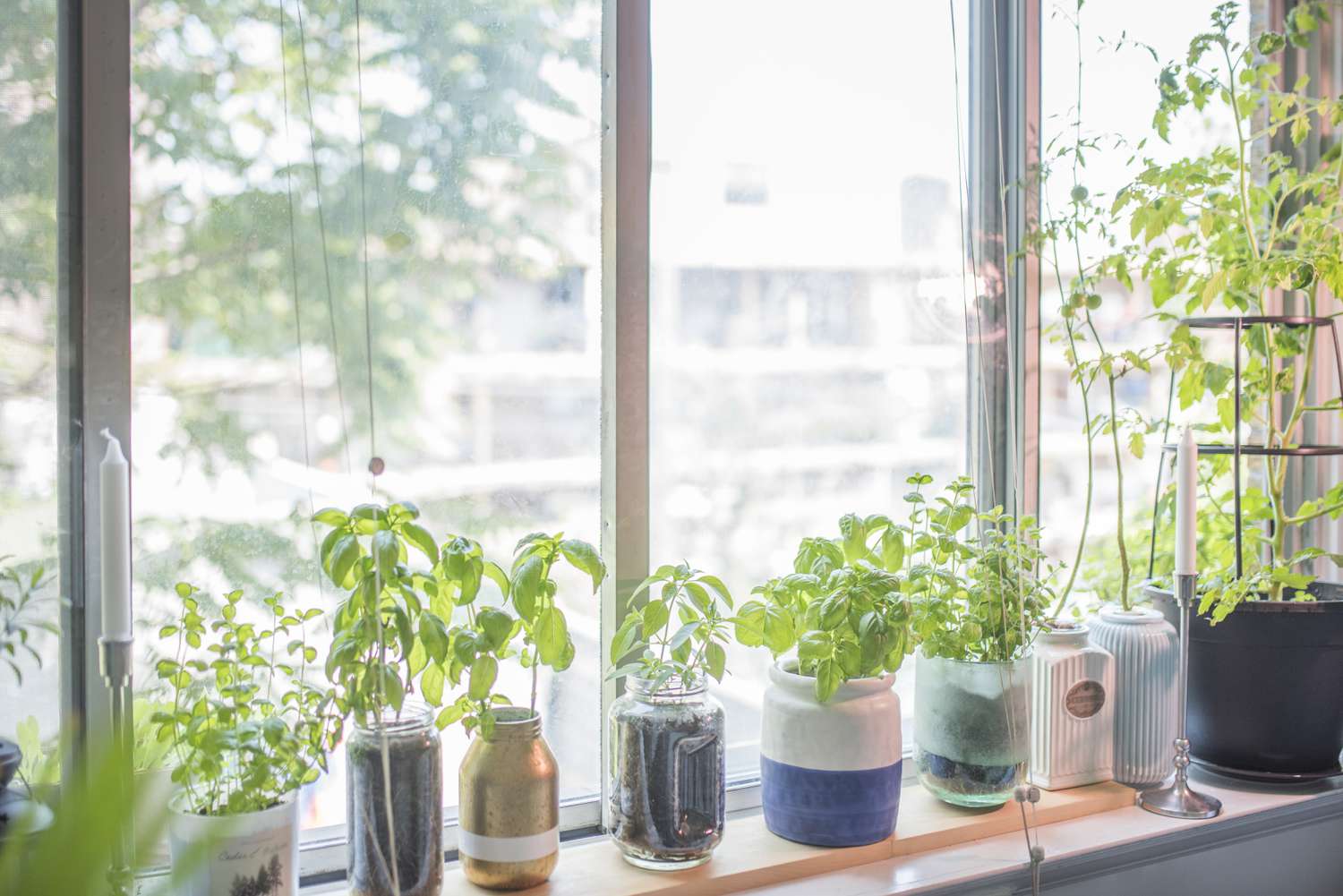 Herb Garden Ideas: 18 Ways To Grow, Indoors And Outdoors