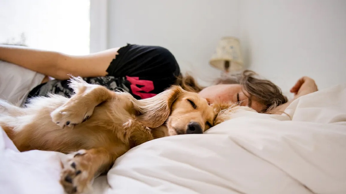 How Sharing Your Bed With Your Pet Compromises Not Just Sleep, But Your Health, Too