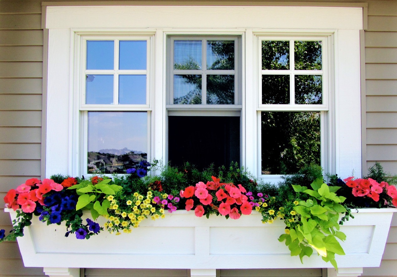 How To Build A Window Box And Increase Your Home’s Curb Appeal
