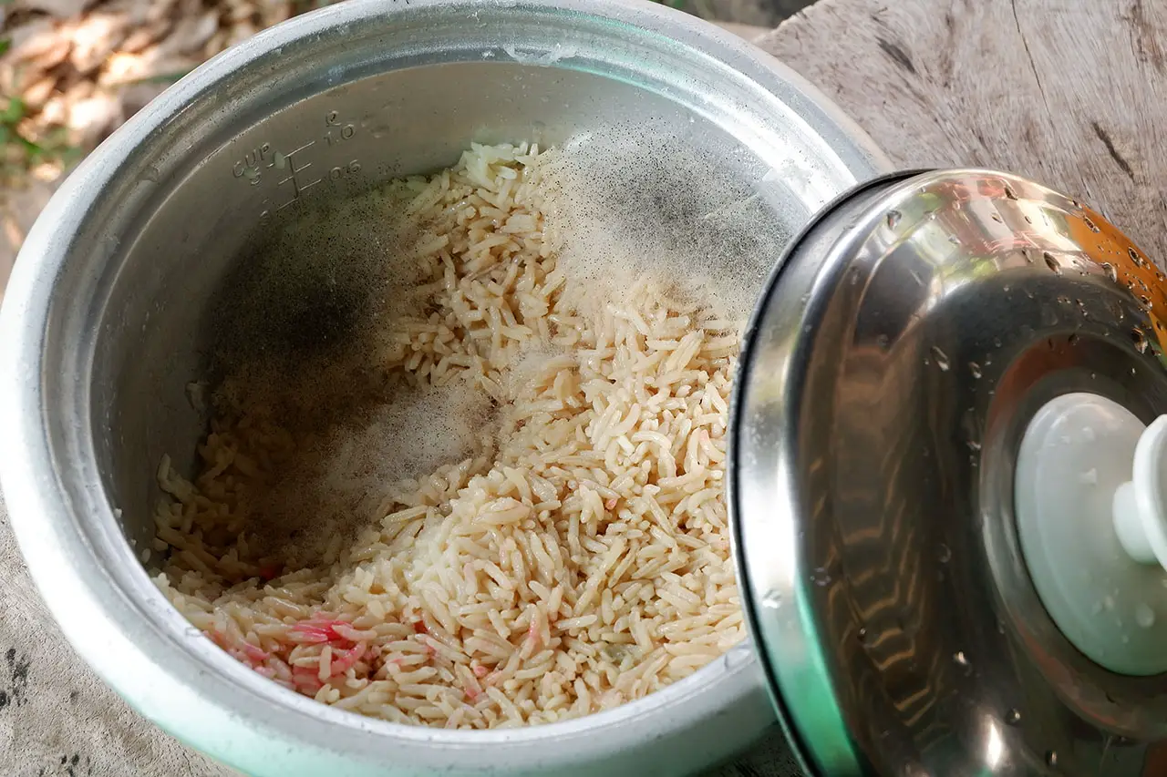 How To Clean Mold Out Of Rice Cooker